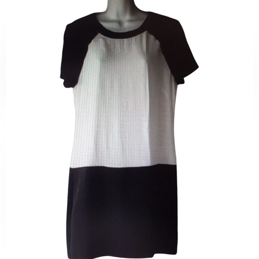 Banana Republic Black and White Silk Mini Dress